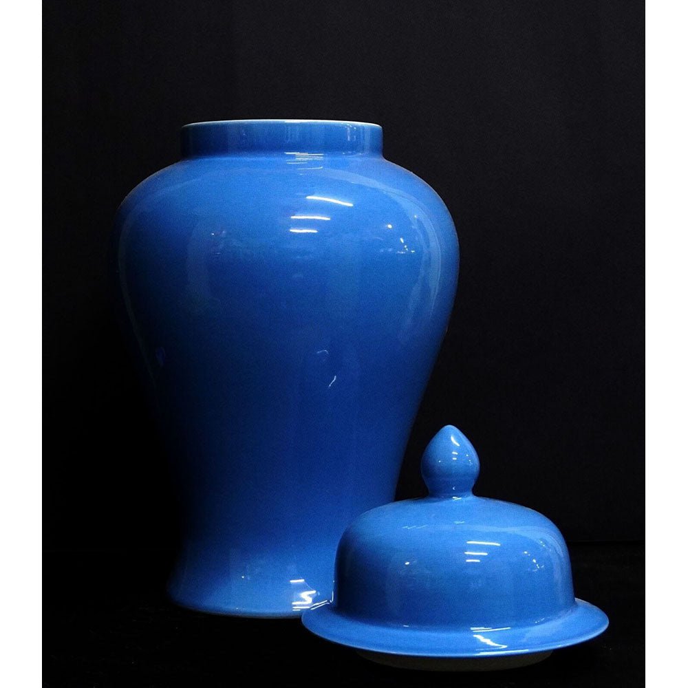 Porzellan Deckel Vase chinesisch Stil Farbe hellblau